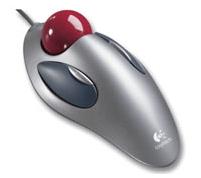 marble%20mouse.JPG