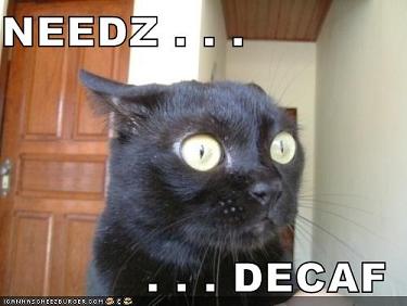 needz%20decaf.jpg